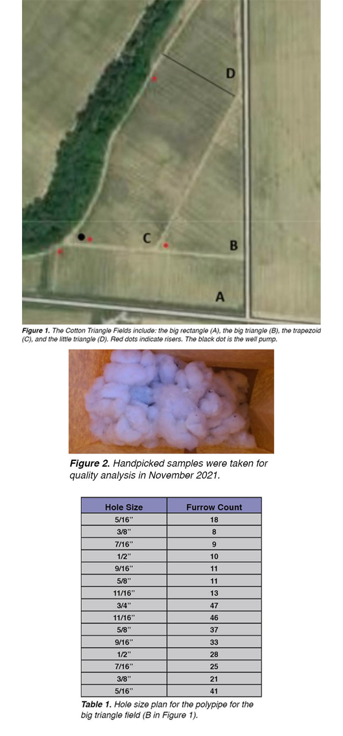 Examining the Efficacy of Variable Hole Sizing in
Polypipe for the Irrigation of Irregularly Shaped
Cotton Fields