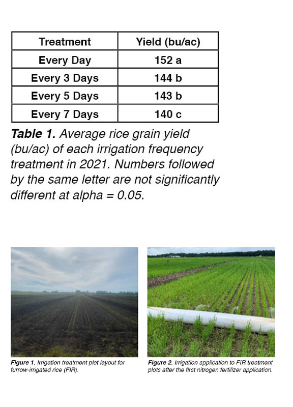 Evaluation of Irrigation Frequency to Close the Gap
in Furrow Irrigated Rice