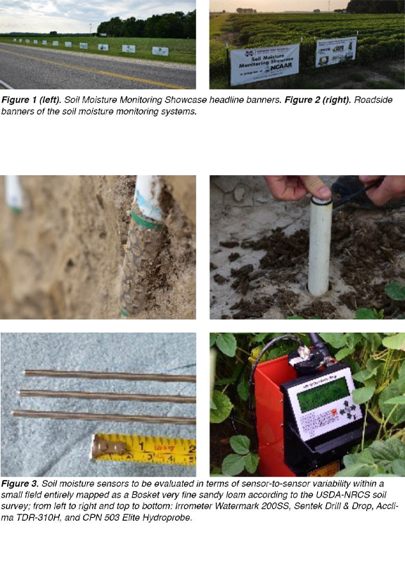 Soil Moisture Monitoring Showcase