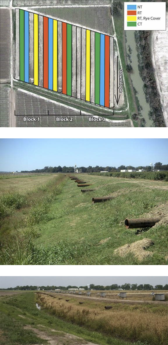 Effects of field and edge-of-field conservation practices on runoff water quality in Mississippi Delta crops