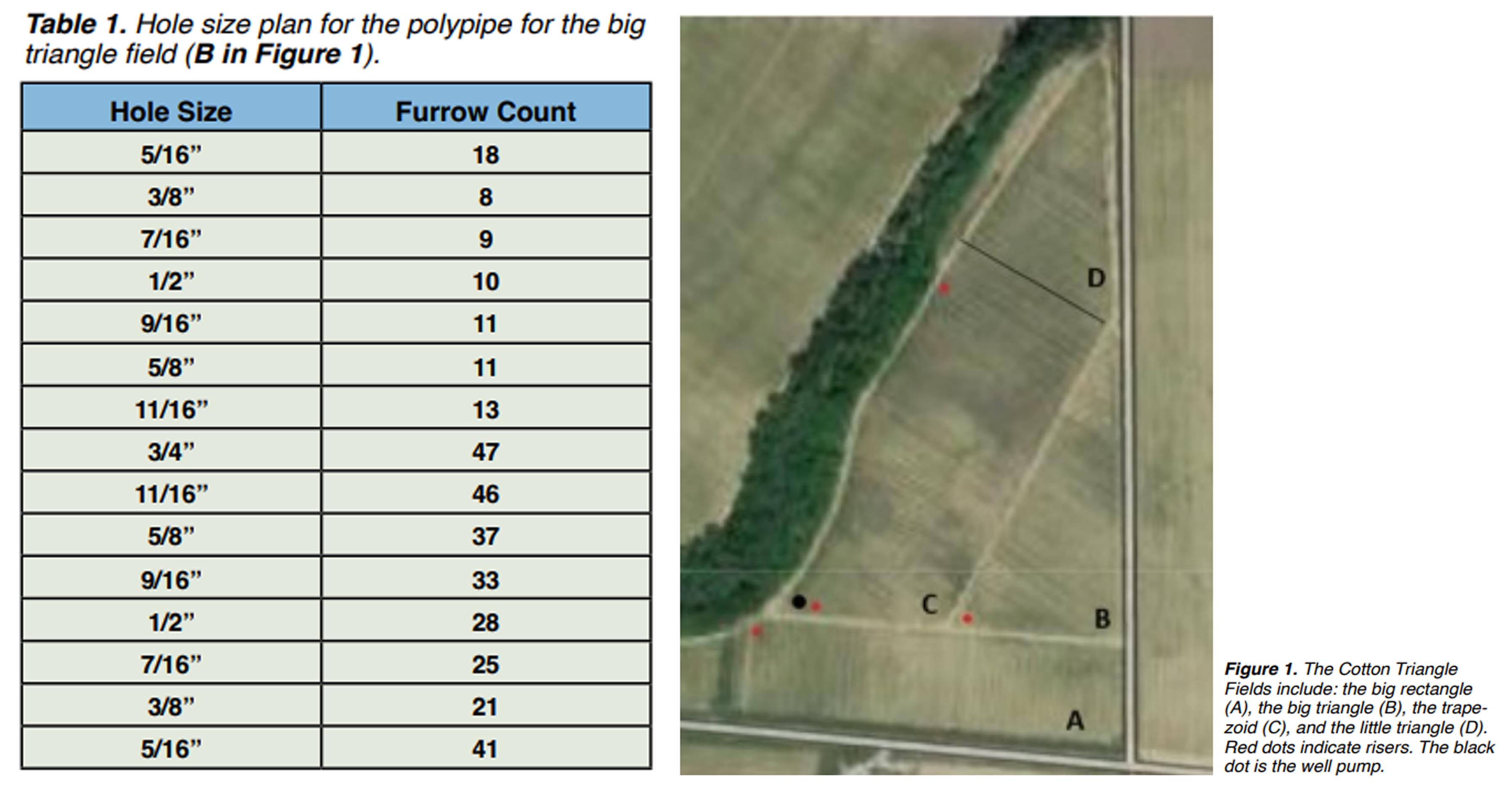 Determining how polypipe hole size and field shape
impacts cotton water use and yield