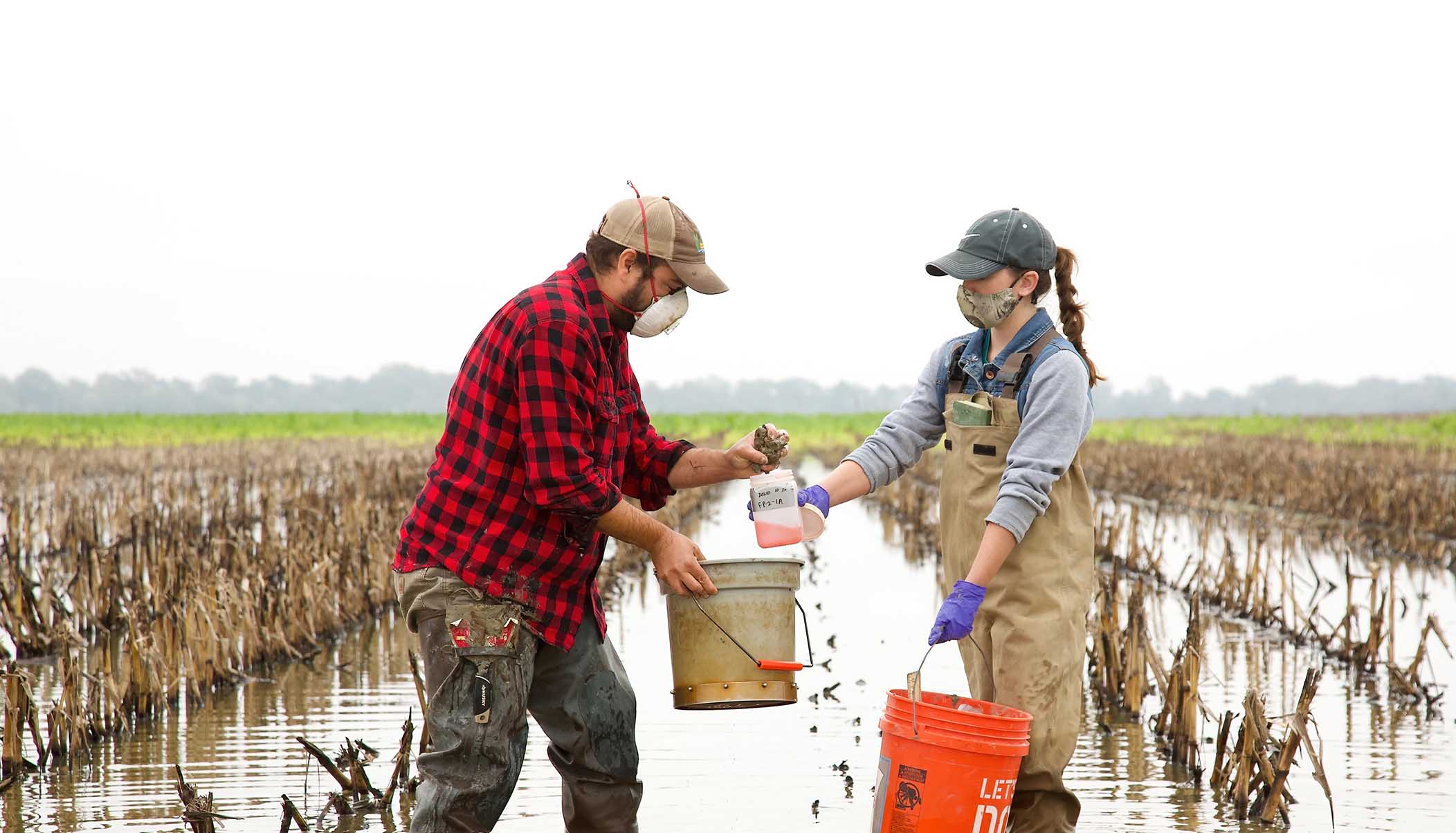 Participate in the Sunflower River Basin Research and Extension Project